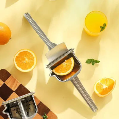 Presse agrume inox manuel pratique