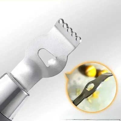Zesteur citron lames en acier inoxydable