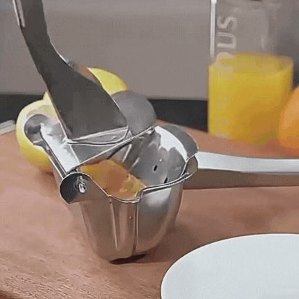 Presse agrume inox manuel